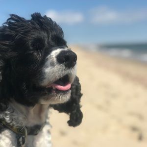 Meet your Posher, Jack